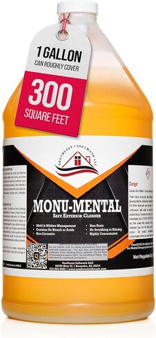 Monu-Mental Cleaner: Timeless Restoration for Monuments, Tombstones, Sculptures, and More (1) in Saudi Arabia