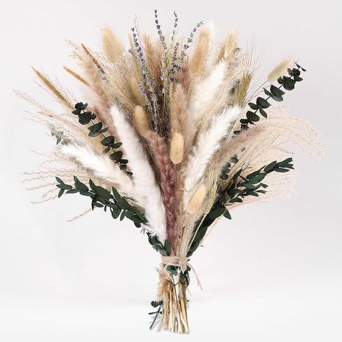 BPOLE 2-in-1 Pampas Grass Decor-100pcs مجفف بامباس العشب مع ريش طبيعية بوهو ترتيب الزهور لله الخاص in Kuwait
