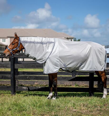 Amigo Bug Bruc Plus Fly Sheet 78 Azure Blue/Navy in Saudi Arabia