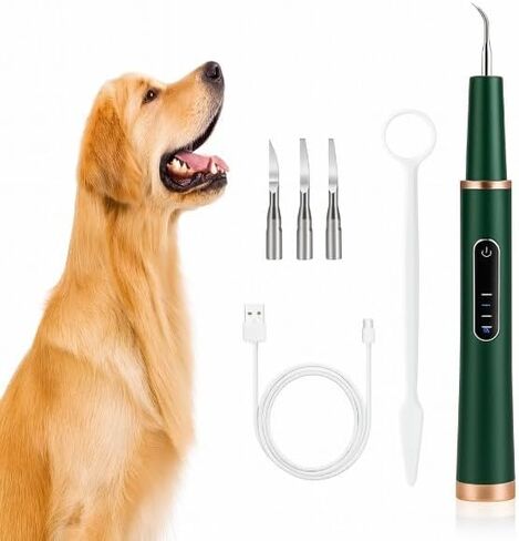 منظف ​​الأسنان بالموجات فوق الصوتية-مزيل البلاك والترتار عالي التردد ، 5 مستويات شدة ، مقاومة للماء IPX6 ، شاشة LED ، قابلة لإعادة الشحن in Kuwait