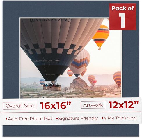 12x12 لوحة حصيرة قبل 16x16 الإطار - أسود خالي من الحمض 12x12 صورة غير لامع مصنوع لتناسب إطار صورة 16x16 ، مميزات متميزة للصور العائلية ، أدوات العرض ، الفن ، تأطير الصور ، حزمة 1 حصيرة in Saudi Arabia