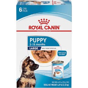 Royal Canin Size Health Nutrition Large Puppy Thin Slices in Gravy Wet Dog Food, 13 oz can (12-count)