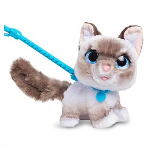 لعبة FurReal Wag-A-Lots Kitty التفاعلية، قطة قطيفة للمشي مقاس 8 بوصات مع أصوات، ألعاب أطفال للأعمار من 4 سنوات فما فوق من Just Play in Kuwait