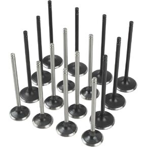 Carbhub Intake Exhaust Valves Kit Fit for Hyundai Santa Fe Sonata Kia Forte Optima 2.0L 2.2L