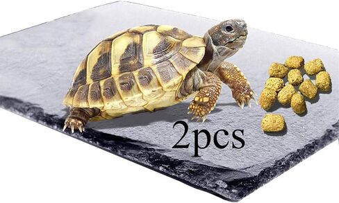 kathson 2 pcs Reptile Basking Platform Tortoise Rock Plate Turtle Bathing Area Feeding Food Dish Resting Terrace in Saudi Arabia