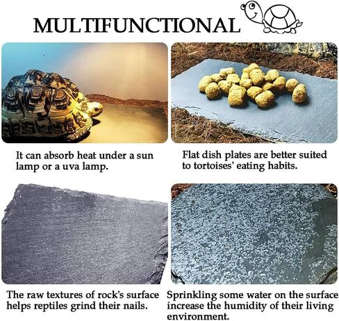 kathson 2 pcs Reptile Basking Platform Tortoise Rock Plate Turtle Bathing Area Feeding Food Dish Resting Terrace in Saudi Arabia