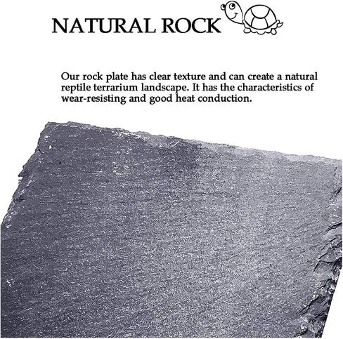 kathson 2 pcs Reptile Basking Platform Tortoise Rock Plate Turtle Bathing Area Feeding Food Dish Resting Terrace in Saudi Arabia