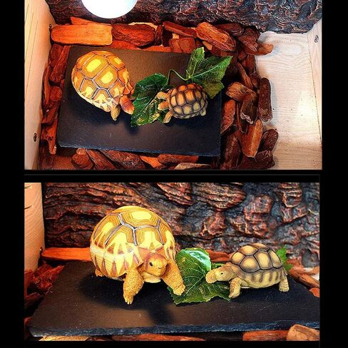 kathson 2 pcs Reptile Basking Platform Tortoise Rock Plate Turtle Bathing Area Feeding Food Dish Resting Terrace in Saudi Arabia