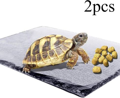 kathson 2 pcs Reptile Basking Platform Tortoise Rock Plate Turtle Bathing Area Feeding Food Dish Resting Terrace in Saudi Arabia