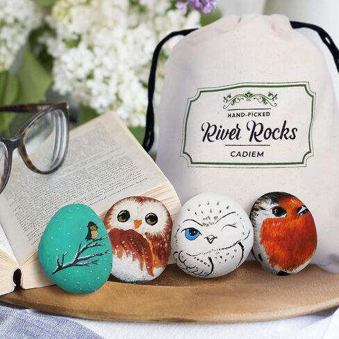 Cadiem River Rocks for Painting - Stones for Rock Painting Kit 4lbs 2-3" w/Gift Bag, Painting Rocks, Kindness Stones, Arts and Crafts in Saudi Arabia
