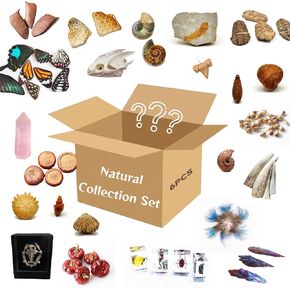 10Pcs Mystery Natural Oddities Collection Box - Real Fossils, Crystals & Taxidermy in Glass Vials | Dark Academia Decor for Adults & Kids | Witchy Curio Cabinet Decor | Unique Gifts for Science Lovers in Saudi Arabia
