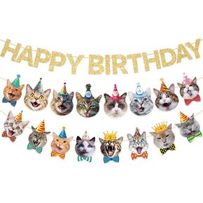 Goose Banner -Silly Goose Baby Shower Decorations One Silly Goose Goose Blue Gingham Style Decord Decord Party Decorities Decor in Kuwait