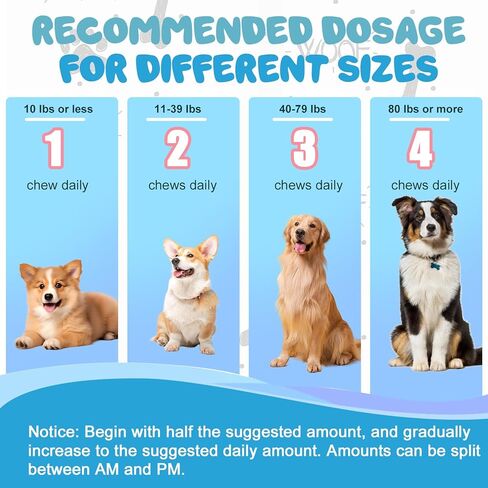 Dogs Calming Treats Chews - Anxiety Relief Chews, Separation Anxiety and Stress Relief for Dogs, Sleep Calming Aid - Health & Wellness Supplements for Dog Puppy, 200 Chews in Saudi Arabia