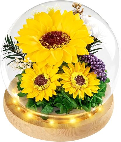 Gifts for Women Birthday Preserved Rose Forever Flower in Glass Dome with LED Fresh Flowers for Delivery Christmas Thanksgiving Valentines Anniversary,Religious Gifts (Purple) in Saudi Arabia