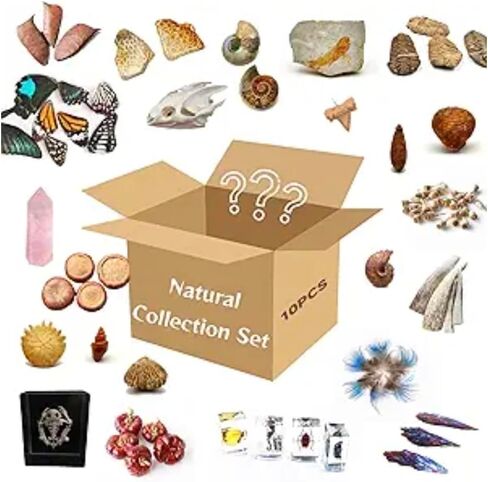 10Pcs Mystery Natural Oddities Collection Box - Real Fossils, Crystals & Taxidermy in Glass Vials | Dark Academia Decor for Adults & Kids | Witchy Curio Cabinet Decor | Unique Gifts for Science Lovers in Saudi Arabia