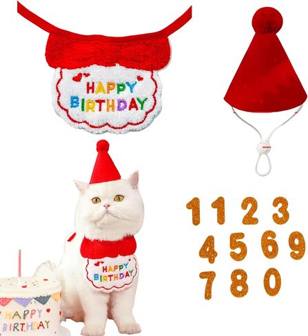 Cat Birthday Pink Collar Set – Pink Party Collar, Hat & Numbers 0–9 – Adjustable Birthday Outfit for Small to Large Cats in Kuwait