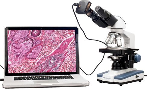 AmScope B120B-3M مجهر مركب مجهر رقمي Siedentopf، تكبير 40X-2000X، Brightfield، إضاءة LED، مكثف Abbe، مرحلة ميكانيكية مزدوجة الطبقة، يتضمن كاميرا 3 ميجابكسل مع عدسة تخفيض وبرامج in Kuwait