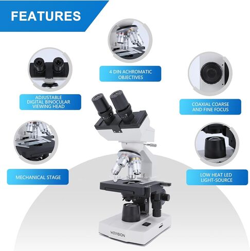 40X–2500X Lab LED Binocular Compound Microscope, 4 Achromatic Objective Lenses, Abbe Condenser, Double-Layer Mechanical Stage, Co-Axial Coarse & Fine Focus in Saudi Arabia