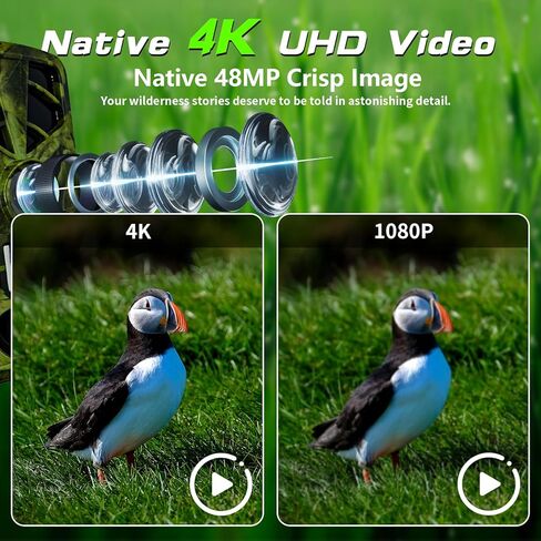 كاميرا Trail 4K، كاميرا ألعاب WiFi، زاوية واسعة 120 درجة، كاميرات رؤية ليلية، بطاقة TF سعة 32 جيجابايت، مقاومة للماء IP66، استكشاف الغزلان أو أمان المنزل، حركة تشغيل 0.2 ثانية مفعلة للحياة البرية in Kuwait