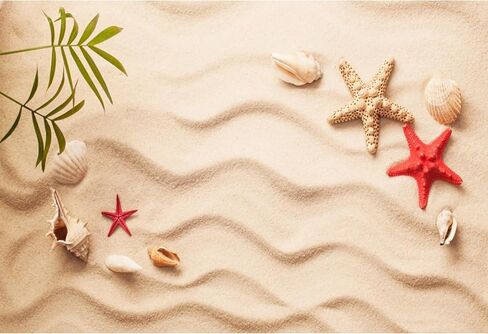 Baocicco 8x6.5ft Sand Beach Backdrop Starfish Shell Backdrops Shell Starfish Background Summer Holiday Siesta Photography Background Tropical Happy Birthday Party Photo Shooting Booth Studio Video in Saudi Arabia