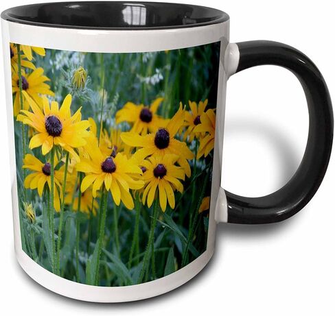 كوب 3dRose Eyed Susans in the Garden ذو لونين أسود، 11 أونصة، متعدد الألوان in Saudi Arabia