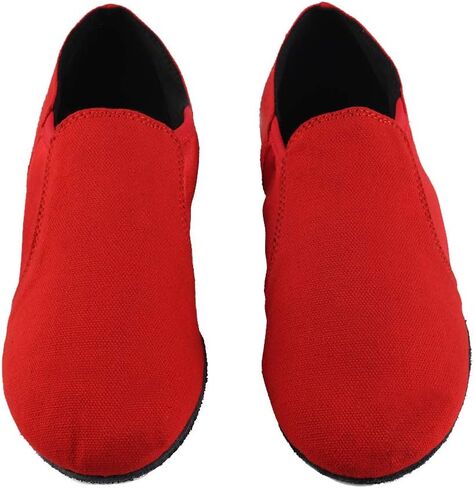 SWDZM Women's Latin Dance Shoes Close Toe Canvas Ballroom Tango Yoga Teaching Practice Dancing Shoes in Saudi Arabia