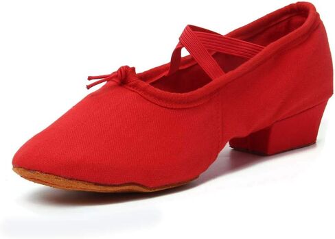 SWDZM Women's Latin Dance Shoes Close Toe Canvas Ballroom Tango Yoga Teaching Practice Dancing Shoes in Saudi Arabia