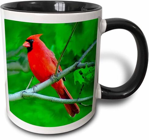 3dRose 3dRose Red Cardinal - Two Tone Black Mug, 11oz , , Black/White in Saudi Arabia