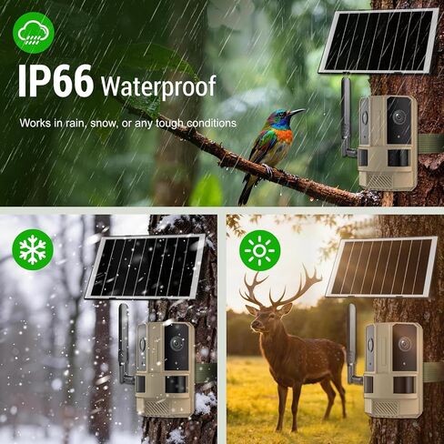 كاميرا مراقبة خارجية 4G LTE Cellular Trail (لا حاجة إلى WiFi) مع بطاقة SIM مدمجة، عدسة مزدوجة رؤية 180 درجة، رؤية ليلية ملونة بدقة 4K، تعمل بالطاقة الشمسية، صوت ثنائي الاتجاه، مقاومة للماء IP66 in Kuwait
