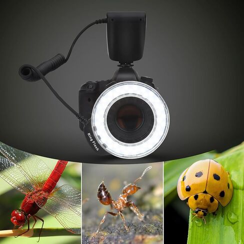 فلاش حلقي LED محمول من Tyenaza يعمل بالبطارية، يملأ الضوء مع مرشحات الألوان ومحول التصوير الفوتوغرافي in Saudi Arabia
