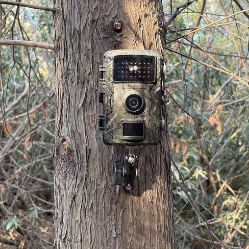 حامل كاميرا المسار، حامل كاميرا الصيد، حامل كاميرا المسار، حامل الكاميرا العالمي، حامل الشجرة، حزام قابل للتعديل، تركيب مخفي، حامل كاميرا المراقبة الخارجية، حامل رأس كروي in Kuwait