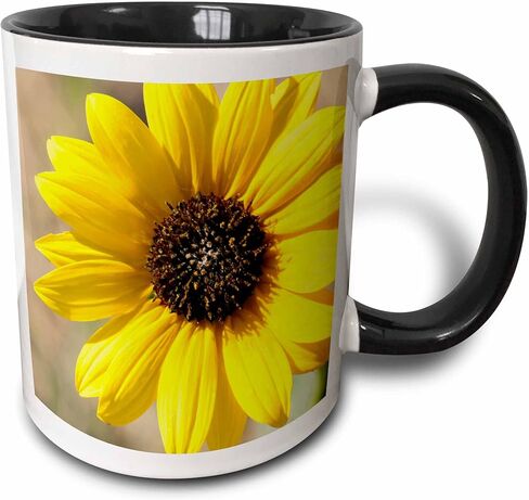3dRose USA, Kansas Sunflower, Yellow Mug, 11 oz in Saudi Arabia