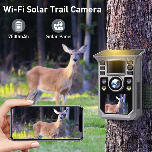 كاميرا تريل ملونة كاملة 6K 64 ميجابكسل تعمل بالطاقة الشمسية واي فاي لعبة الصيد مع رؤية ليلية، بطارية مدمجة 7500 مللي أمبير في الساعة، مقاومة للماء IP67، كاميرا ميدانية نشطة بحساسية الحركة الحرارية 64 جيجابايت in Kuwait