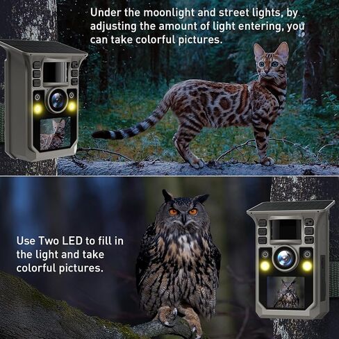 كاميرا تريل ملونة كاملة 6K 64 ميجابكسل تعمل بالطاقة الشمسية واي فاي لعبة الصيد مع رؤية ليلية، بطارية مدمجة 7500 مللي أمبير في الساعة، مقاومة للماء IP67، كاميرا ميدانية نشطة بحساسية الحركة الحرارية 64 جيجابايت in Kuwait