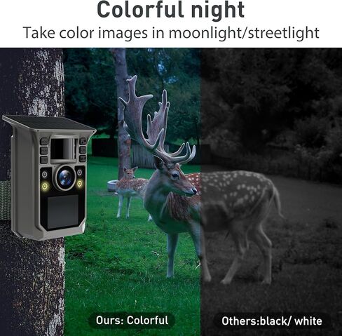 كاميرا تريل ملونة كاملة 6K 64 ميجابكسل تعمل بالطاقة الشمسية واي فاي لعبة الصيد مع رؤية ليلية، بطارية مدمجة 7500 مللي أمبير في الساعة، مقاومة للماء IP67، كاميرا ميدانية نشطة بحساسية الحركة الحرارية 64 جيجابايت in Kuwait