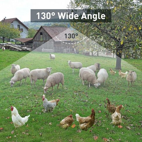 كاميرا تريل ملونة كاملة 6K 64 ميجابكسل تعمل بالطاقة الشمسية واي فاي لعبة الصيد مع رؤية ليلية، بطارية مدمجة 7500 مللي أمبير في الساعة، مقاومة للماء IP67، كاميرا ميدانية نشطة بحساسية الحركة الحرارية 64 جيجابايت in Kuwait