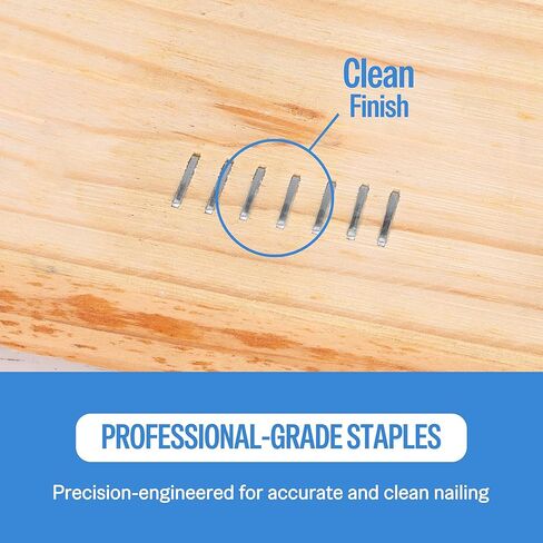 meite 20 Gauge 304 Stainless Steel Upholstery Staples, 1/2-Inch Crown with 3/8-Inch Leg Length, Heavy Duty Staples for Construction, Furniture, Crafts & DIY Projects (1 Box) in Saudi Arabia