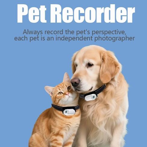 طوق كاميرا Cat Catcampro™ POV تسجيل فيديو 4 ساعات بدقة 4K مناسب للحيوانات الأليفة * 1M+ متابعون على وسائل التواصل الاجتماعي* كاميرا داخلية/خارجية لا حاجة إلى شبكة WiFi in Kuwait