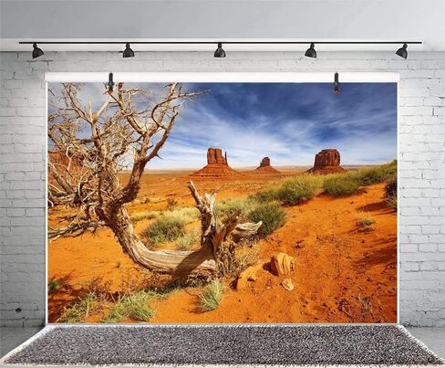 Leyiyi 48 × 18 بوصة خلفية التصوير الفوتوغرافي لوادي النصب التذكاري الأمريكي الوطني بارك نافاجو القبلي بارك الصحراء الغربية نبات الصخور الجافة الجذع سفينة حربية فيلم لاندمارك خلفية بوليستر خلفية تررم in Kuwait