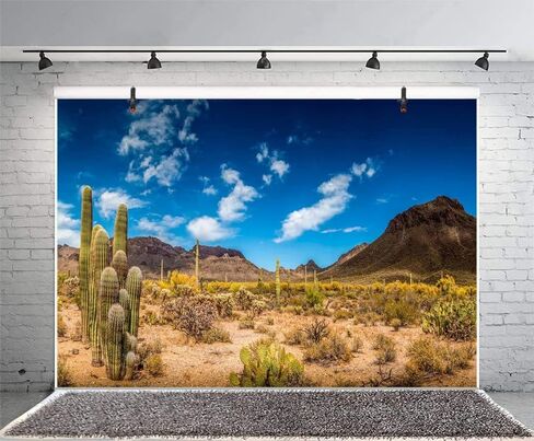 Leyiyi 48 × 18 بوصة خلفية التصوير الفوتوغرافي لوادي النصب التذكاري الأمريكي الوطني بارك نافاجو القبلي بارك الصحراء الغربية نبات الصخور الجافة الجذع سفينة حربية فيلم لاندمارك خلفية بوليستر خلفية تررم in Kuwait