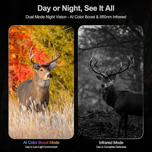 4K Night Vision Binoculars for Adults - Night Thunder X3 | Night Vision Goggles with AI Color Boost Mode, 40MP Photos, 2000 ft Range, 5000mAh Battery, 32GB Card for Wildlife & Camping in Saudi Arabia