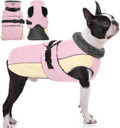 QBLEEV معطف الكلب الدافئ سترة الكلب العاكسة قابل للتعديل معطف الشتاء الكلب الياقة المدورة ملابس الكلب للطقس البارد مقاوم للماء الياقة المدورة الصوف الكلب سنوسويت الكلب سترة معاطف الكلاب للكلاب الصغيرة والمتوسطة الكبيرة in Kuwait