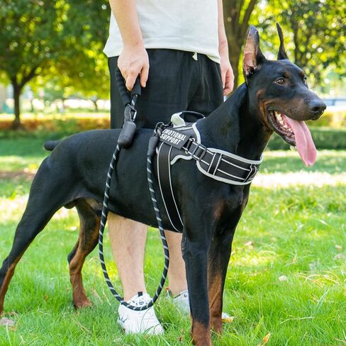 مجموعة صدرية ومقود مبطنة للرقبة للكلاب، أداة عدم سحب قابلة للتعديل مع 8 رقع للكلاب، عاكسة أثناء التدريب، سترة للحيوانات الأليفة سهلة التحكم مع مقود للكلاب بطول 5 أقدام للكلاب الصغيرة والمتوسطة والكبيرة in Kuwait