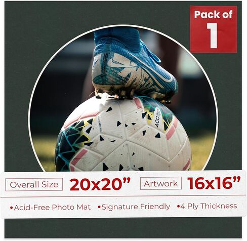 ملصق Palooza مقاس 20x20 مشطوف مقطوع للصور مقاس 16x16 - فتحة لوحة بساط صور على شكل دائرة سوداء مقطوعة مسبقًا - غير لامع خالٍ من الأحماض لحماية صورك - قطع مشطوف للصور العائلية، حزمة من لوحة واحدة in Kuwait