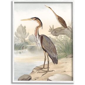 Stupell Industries Wild Heron Birds Perched Scenic Grassy Creek Framed Wall Art, Design By Piddix