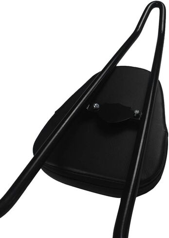 مساند الظهر قضبان سيسي طويلة، مسند ظهر مزخرف قابل للفصل عالي التحمل يناسب Harley Touring Road King Street Electra Glide FLHT FLHX FLTR 2009-2020 (أسود) in Kuwait