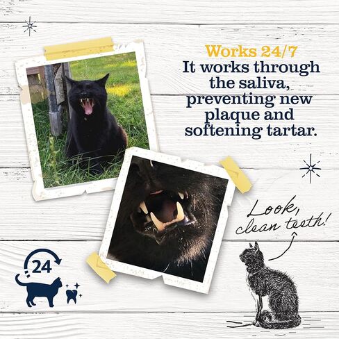 مسحوق دكتور بول برودن بلاك أوف للقطط - العناية بأسنان القطط ومعطر التنفس - صحة الفم الطبيعية للقطط - مكمل لصحة أسنان القطط - مزيل الجير والبلاك للحيوانات الأليفة - 40 جم، أبيض in Kuwait