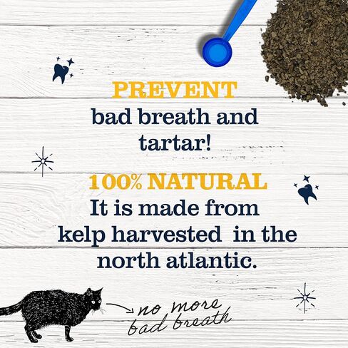 مسحوق دكتور بول برودن بلاك أوف للقطط - العناية بأسنان القطط ومعطر التنفس - صحة الفم الطبيعية للقطط - مكمل لصحة أسنان القطط - مزيل الجير والبلاك للحيوانات الأليفة - 40 جم، أبيض in Kuwait