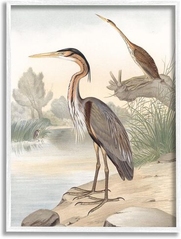 Stupell Industries Wild Heron Birds Perched Scenic Grassy Creek Framed Wall Art, Design By Piddix in Kuwait
