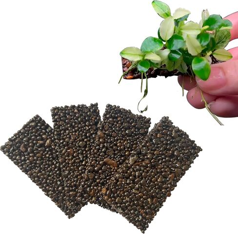 طقم حامل نباتات حوض السمك ChuCraftVN، 10 وسادات حصى، 2.4 × 1.2 بوصة. 10 ربطات عنق بسحاب. 1 غراء مائي. in Kuwait